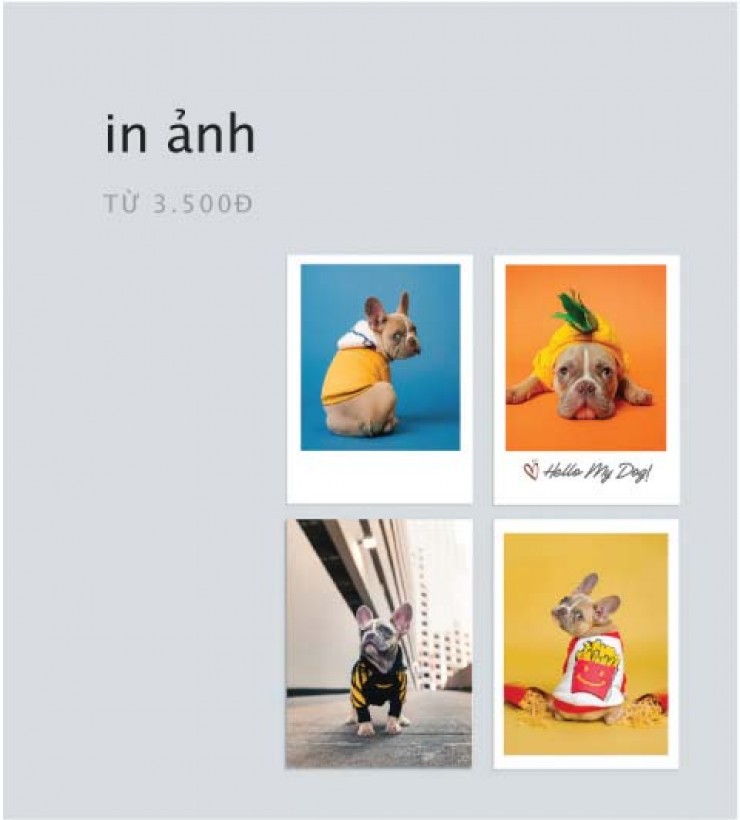 Icon Box